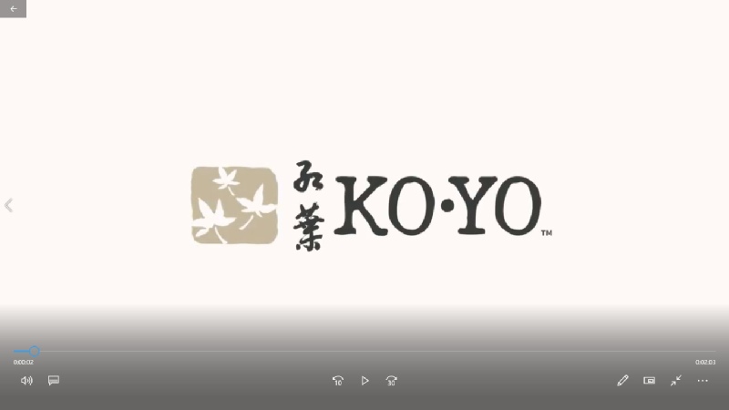 KOYO Massage Chairs - Made in Japan.mp4